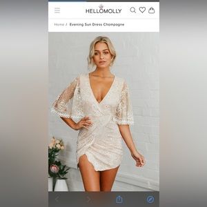 hello molly sequin dress